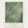 Pleasant Plains, Arkansas map print, the full design