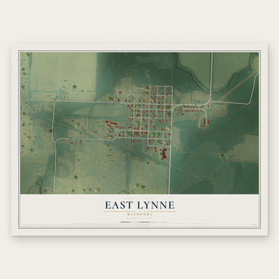 East Lynne, Missouri map print, the full design