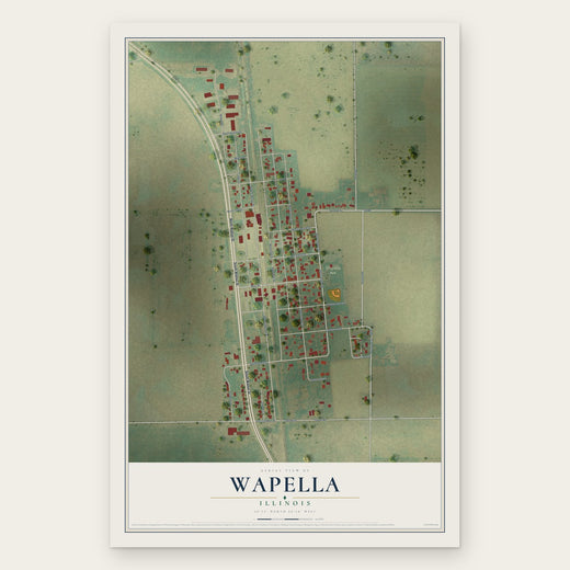 Wapella, Illinois map print, the full design