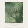 Bingham, Illinois map print, the full design