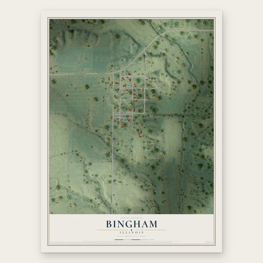 Bingham, Illinois map print, the full design