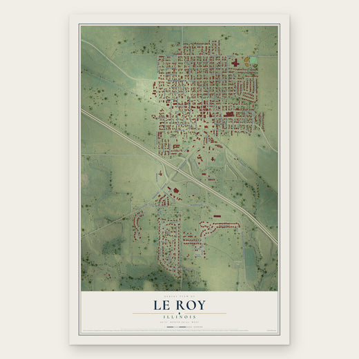 Le Roy, Illinois map print, the full design