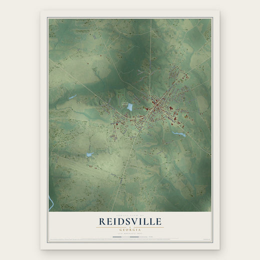 Reidsville, Georgia map print, the full design