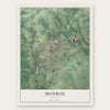 Monroe, Georgia map print, the full design
