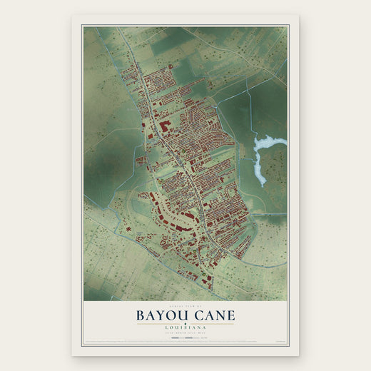 Bayou Cane, Louisiana map print, the full design
