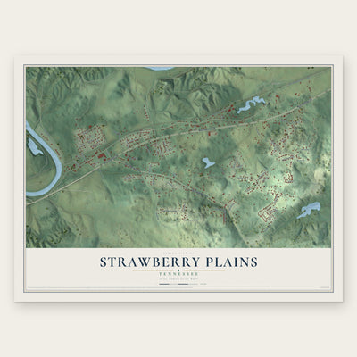 Strawberry Plains, Tennessee map print, the full design