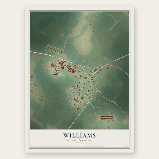 Williams, South Carolina map print, the full design