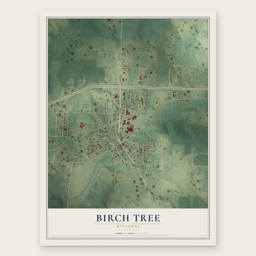Birch Tree, Missouri map print, the full design