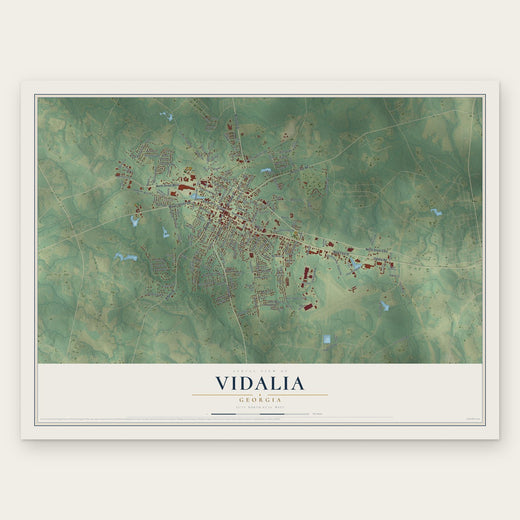 Vidalia, Georgia map print, the full design