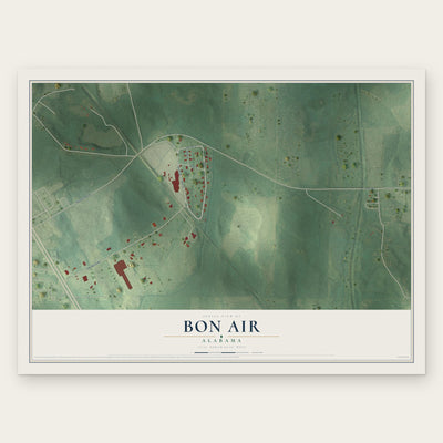 Bon Air, Alabama map print, the full design