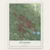 Petaluma, California map print, the full design