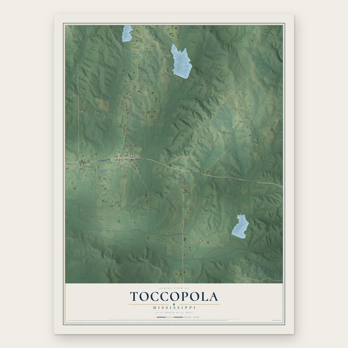 Toccopola, Mississippi map print, the full design