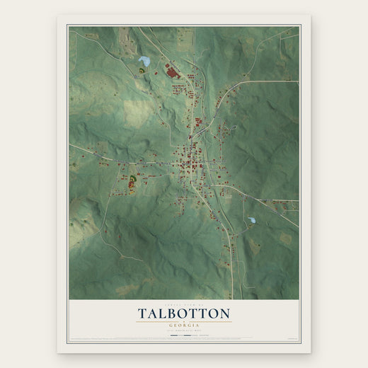 Talbotton, Georgia map print, the full design
