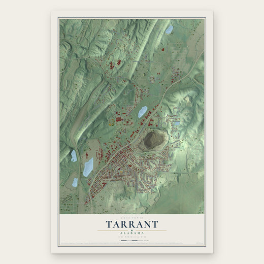 Tarrant, Alabama map print, the full design