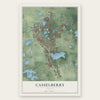 Casselberry, Florida map print, the full design