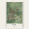 Tuscola, Illinois map print, the full design