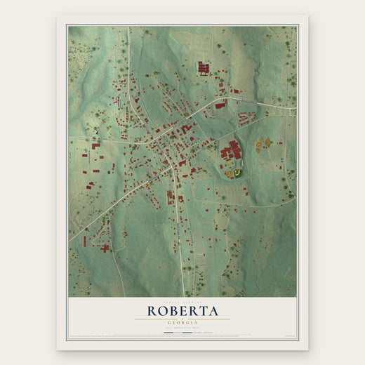 Roberta, Georgia map print, the full design