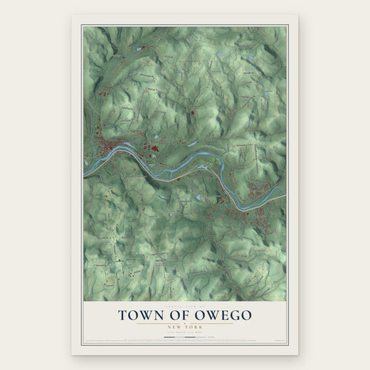 Town of Owego, New York map print, the full design