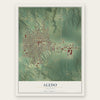 Aledo, Illinois map print, the full design