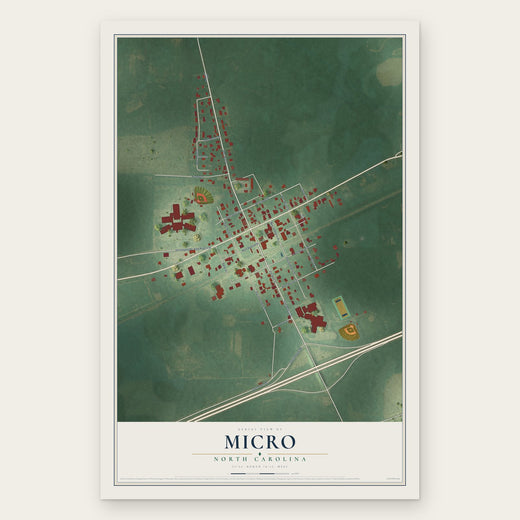 Micro, North Carolina map print, the full design