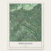 Springville, Alabama map print, the full design