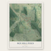 Ben Hill Pines, Georgia map print, the full design