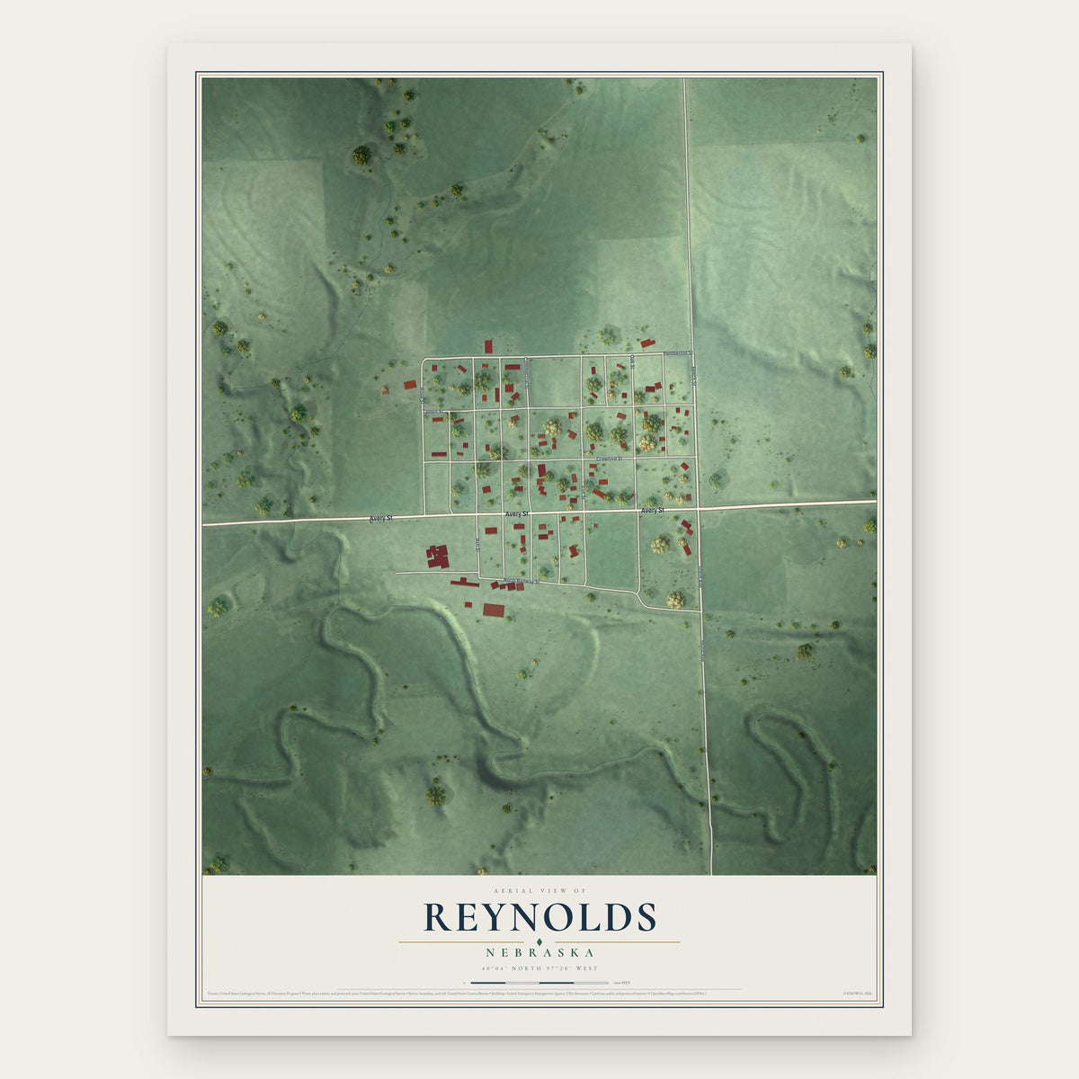 Reynolds, Nebraska map print, the full design
