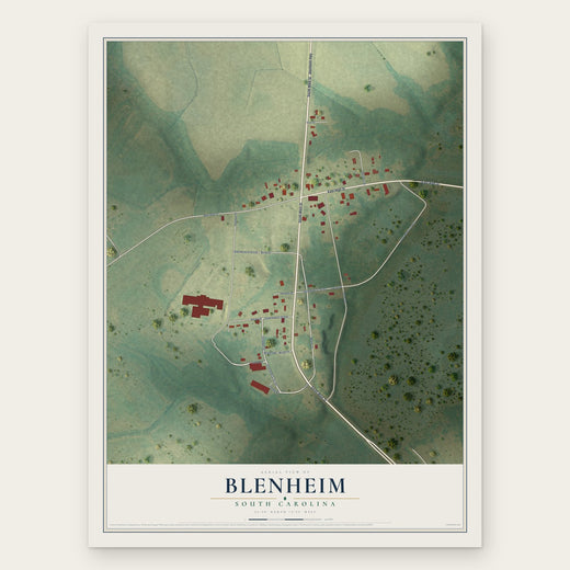 Blenheim, South Carolina map print, the full design