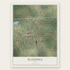 Flatonia, Texas map print, the full design