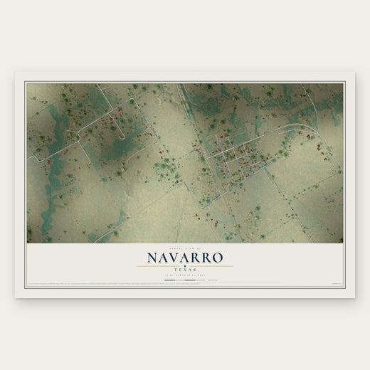 Navarro, Texas map print, the full design
