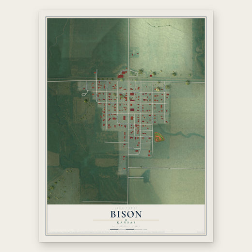Bison, Kansas map print, the full design
