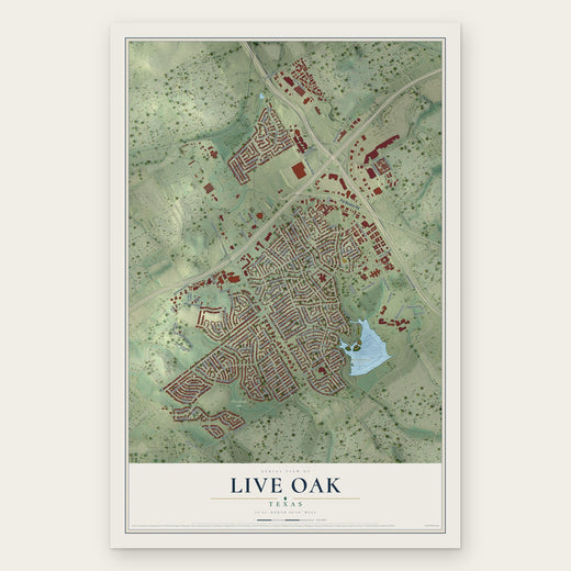 Live Oak, Texas map print, the full design