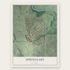 Springlake, Georgia map print, the full design