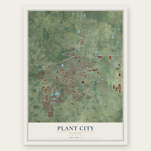 Plant City, Florida map print, the full design