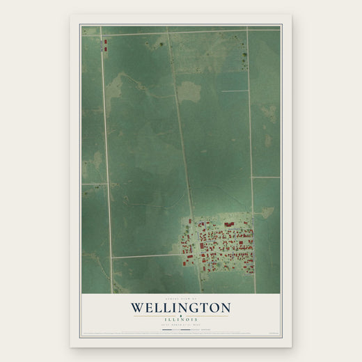 Wellington, Illinois map print, the full design
