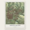 Arroyo Grande, California map print, the full design
