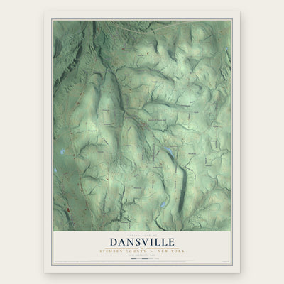 Dansville, Steuben County, New York map print, the full design