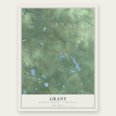 Grant, Mecosta County, Michigan map print, the full design