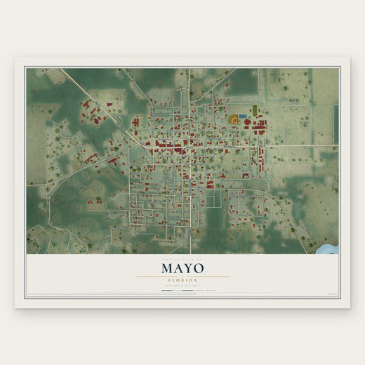 Mayo, Florida map print, the full design