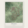 Swansea, Illinois map print, the full design