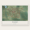 Walnut, Illinois map print, the full design