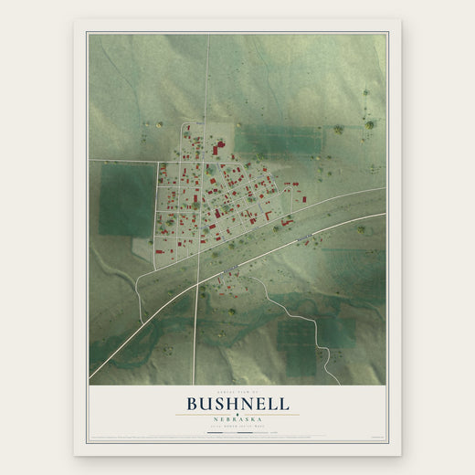 Bushnell, Nebraska map print, the full design