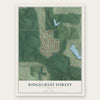 Ridgecrest Forest, Georgia map print, the full design