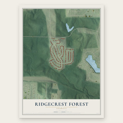 Ridgecrest Forest, Georgia map print, the full design