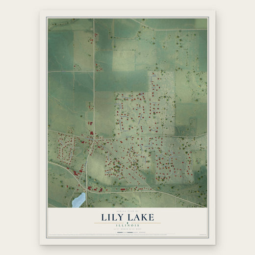 Lily Lake, Illinois map print, the full design