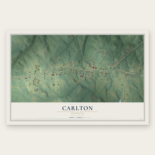 Carlton, Georgia map print, the full design