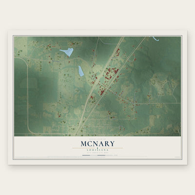 McNary, Louisiana map print, the full design