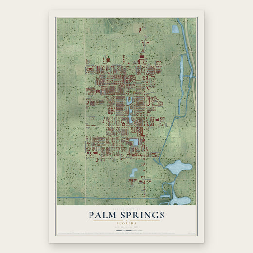 Palm Springs, Florida map print, the full design