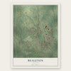 Bealeton, Virginia map print, the full design