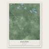 Dalton, Michigan map print, the full design